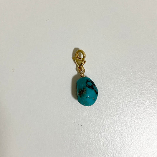 Turquoise Charm